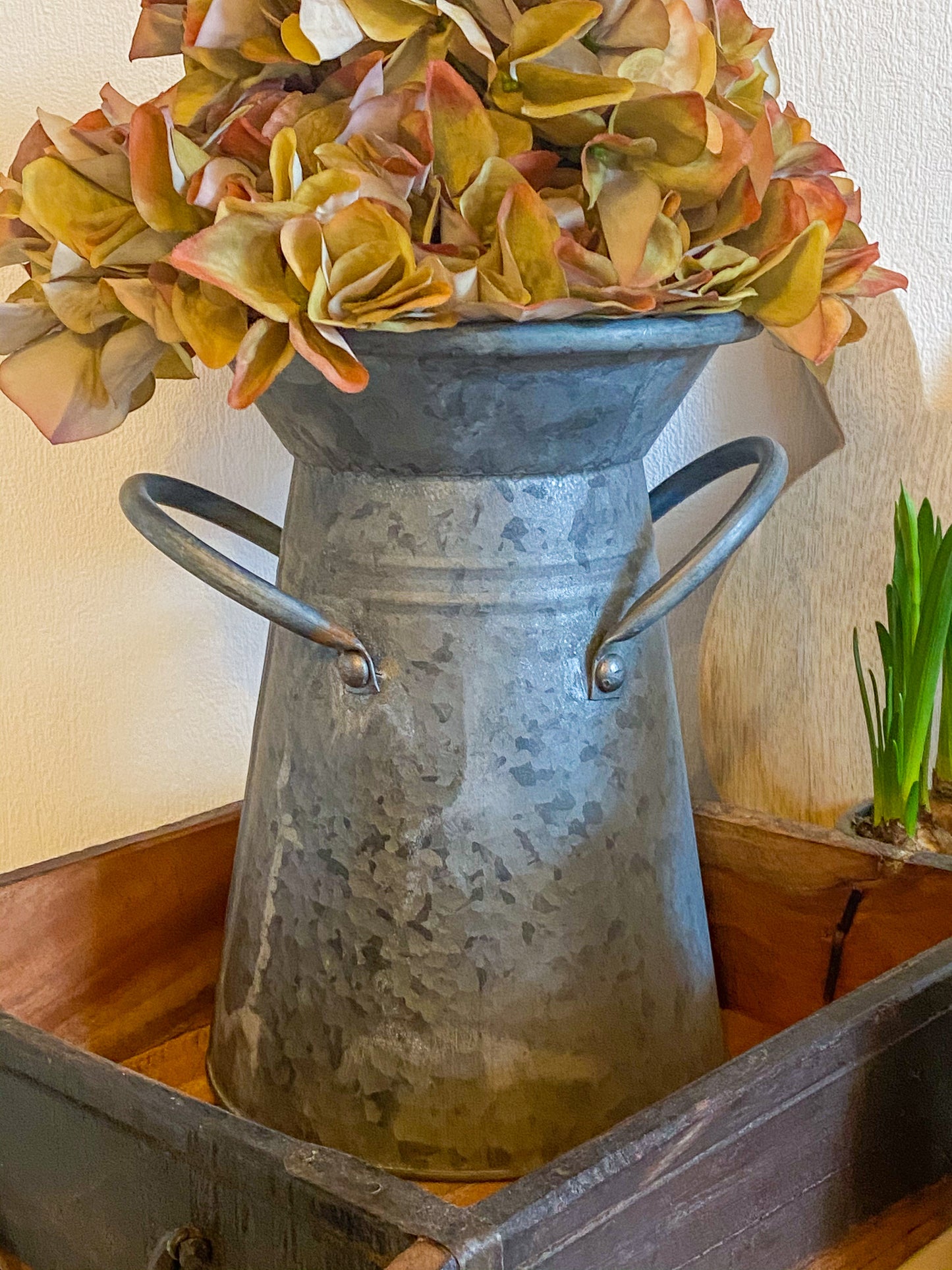 CLAYRE & EEF DEKO MILCHKANNE