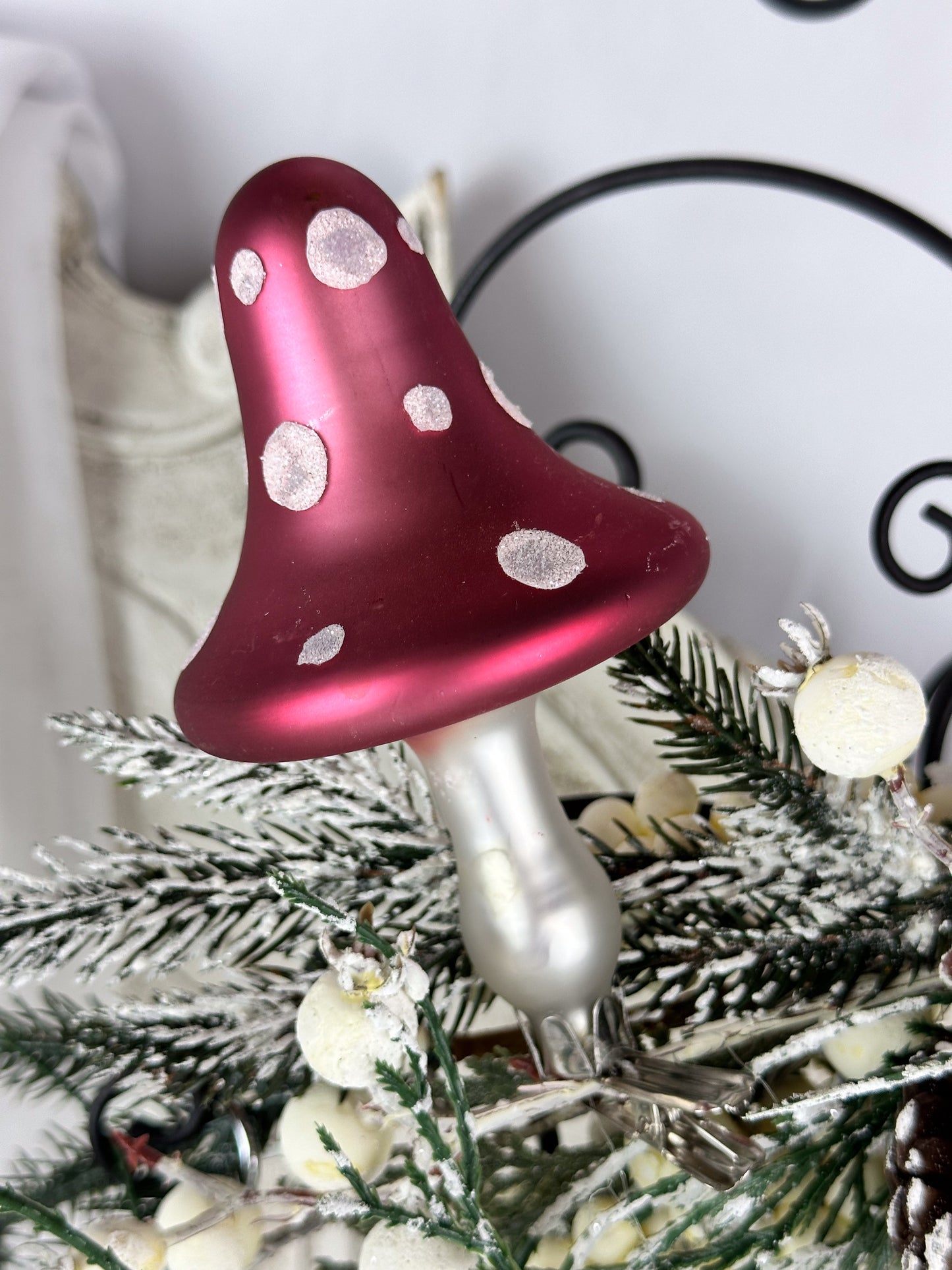 CLIP BAUMKUGELPILZ ROT